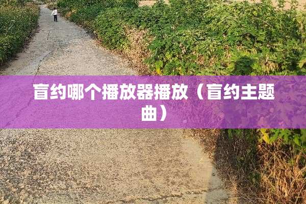 盲约哪个播放器播放（盲约主题曲）