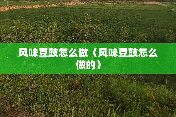 风味豆豉怎么做（风味豆豉怎么做的）
