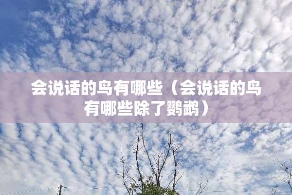 会说话的鸟有哪些（会说话的鸟有哪些除了鹦鹉）