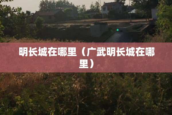 明长城在哪里（广武明长城在哪里）