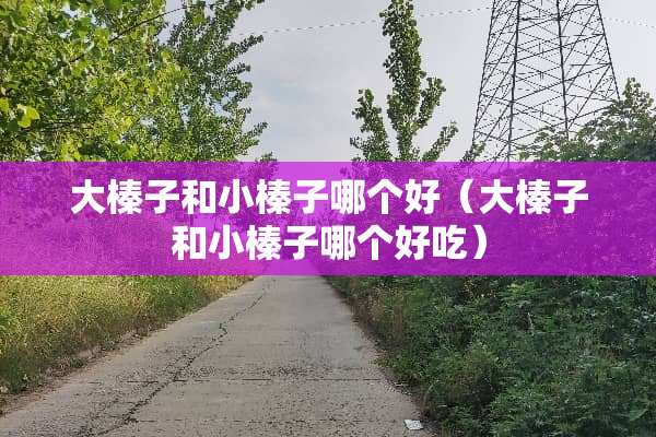 大榛子和小榛子哪个好（大榛子和小榛子哪个好吃）