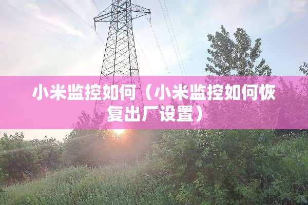小米监控如何（小米监控如何恢复出厂设置）