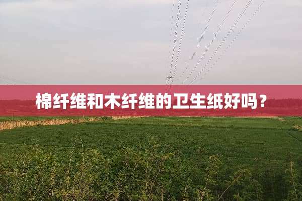 棉纤维和木纤维的卫生纸好吗？