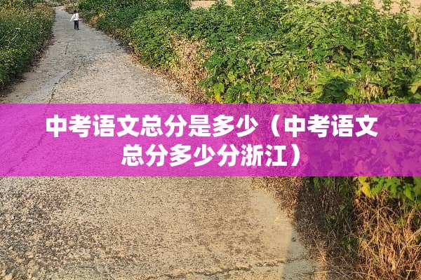 中考语文总分是多少（中考语文总分多少分浙江）