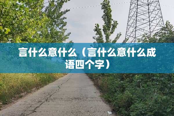 言什么意什么（言什么意什么成语四个字）