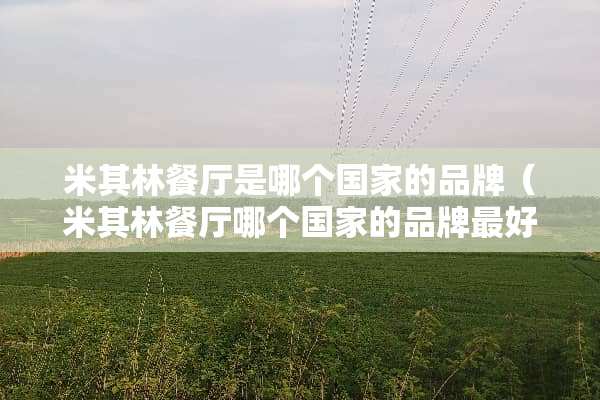 米其林餐厅是哪个国家的品牌（米其林餐厅哪个国家的品牌最好）