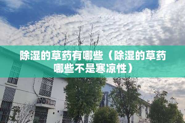 除湿的草药有哪些（除湿的草药哪些不是寒凉性）