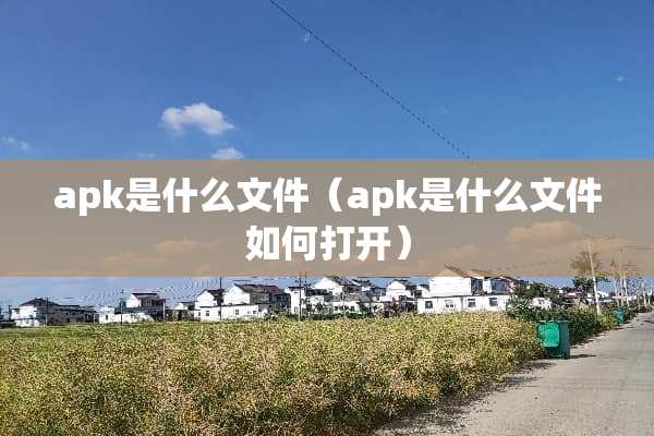 apk是什么文件（apk是什么文件如何打开）