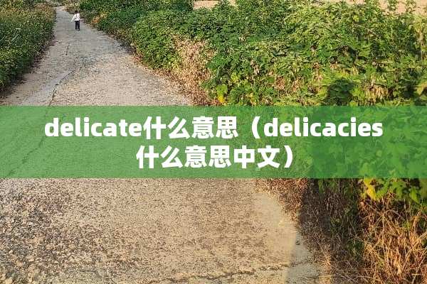 delicate什么意思（delicacies什么意思中文）