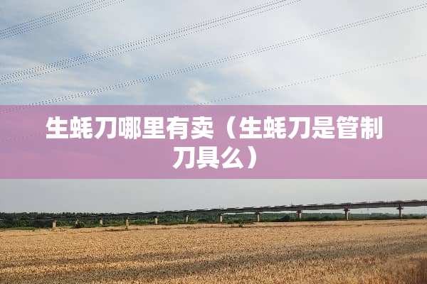 生蚝刀哪里有卖（生蚝刀是管制**么）