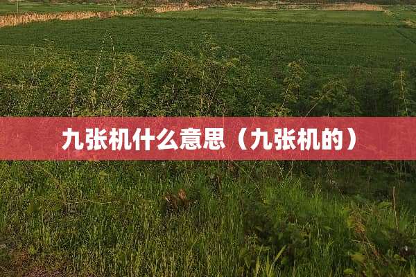 九张机什么意思（九张机的）
