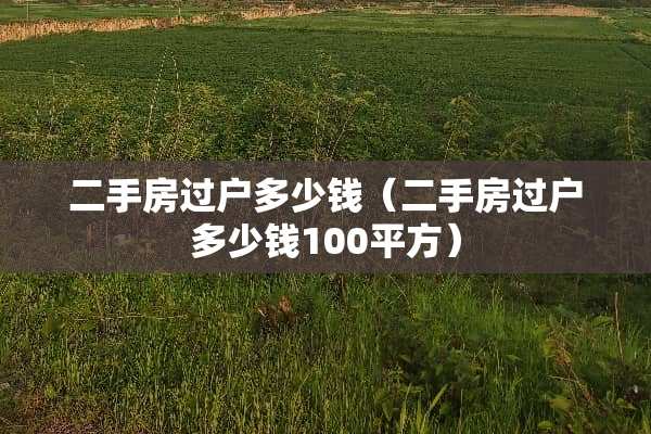二手房过户多少钱（二手房过户多少钱100平方）