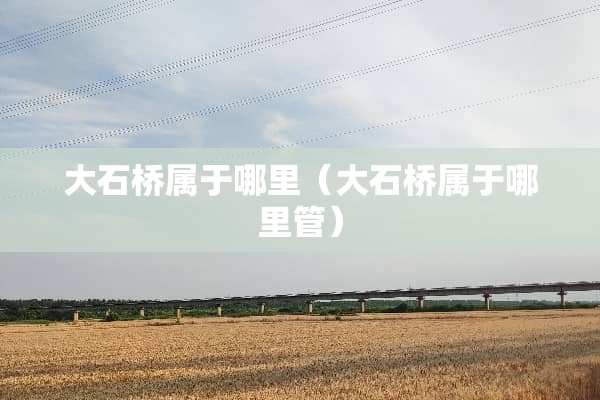 大石桥属于哪里（大石桥属于哪里管）