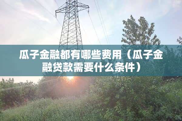 瓜子金融都有哪些费用（瓜子金融贷款需要什么条件）