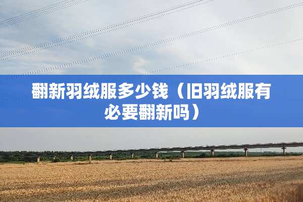 翻新羽绒服多少钱（旧羽绒服有必要翻新吗）