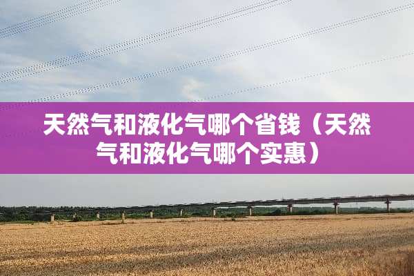天然气和液化气哪个省钱（天然气和液化气哪个实惠）
