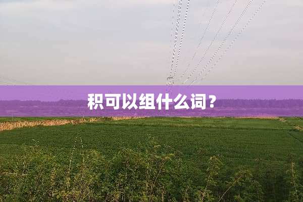 积可以组什么词？