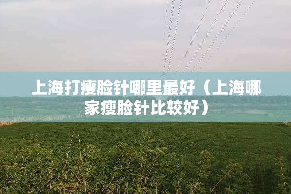上海打瘦脸针哪里最好（上海哪家瘦脸针比较好）