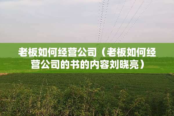 老板如何经营公司（老板如何经营公司的书的内容刘晓亮）