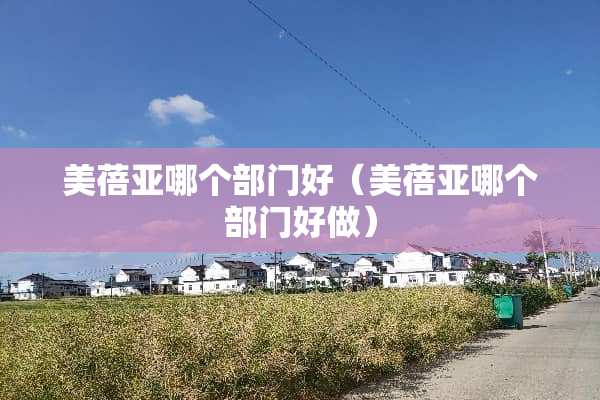 美蓓亚哪个部门好（美蓓亚哪个部门好做）