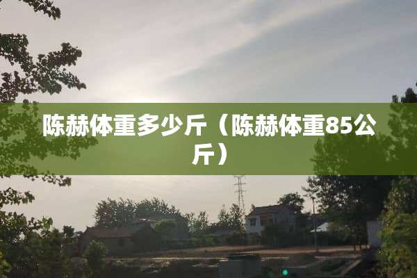 陈赫体重多少斤（陈赫体重85公斤）