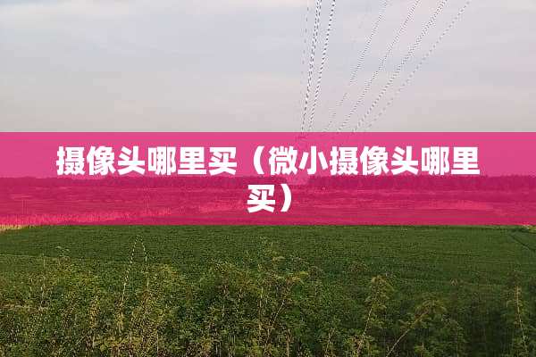 **头哪里买（微小**头哪里买）