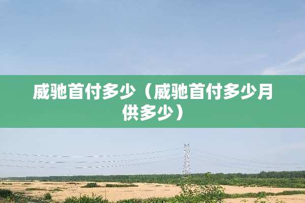 威驰首付多少（威驰首付多少月供多少）