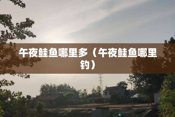 午夜鲑鱼哪里多（午夜鲑鱼哪里钓）