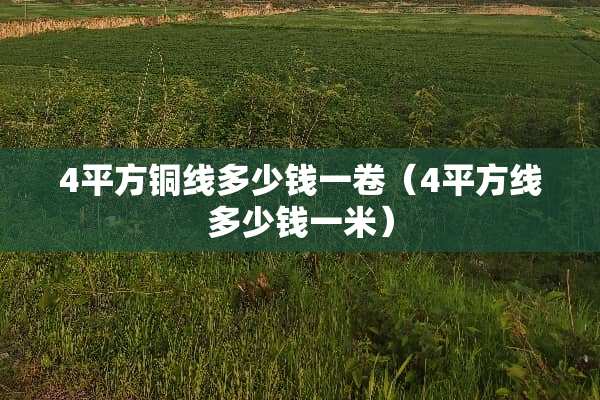 4平方铜线多少钱一卷（4平方线多少钱一米）
