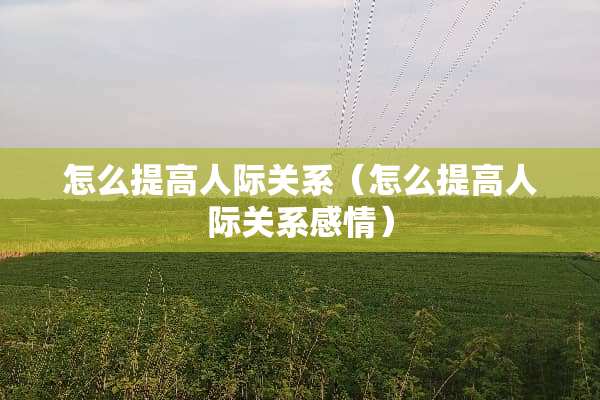 怎么提高人际关系（怎么提高人际关系感情）