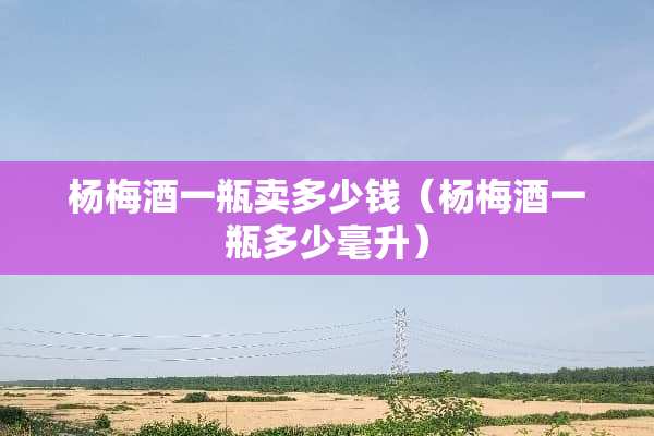 杨梅酒一瓶卖多少钱（杨梅酒一瓶多少毫升）