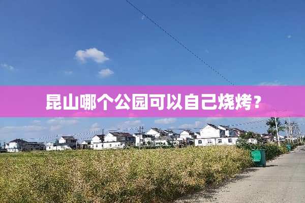 昆山哪个公园可以自己烧烤？
