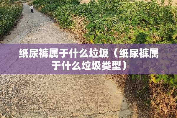 纸尿裤属于什么垃圾（纸尿裤属于什么垃圾类型）