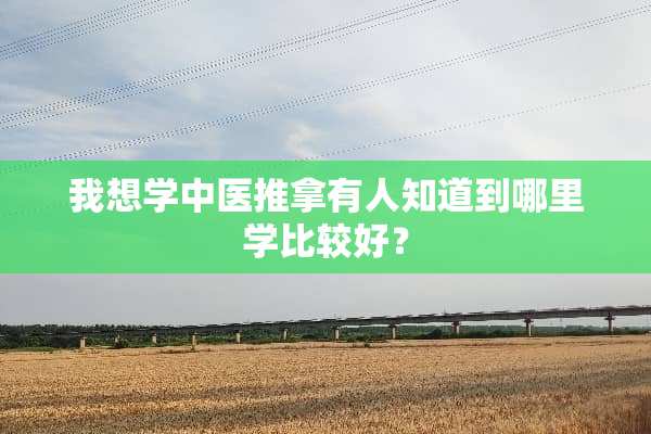 我想学中医推拿有人知道到哪里学比较好？