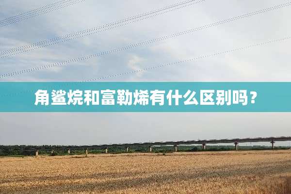 角鲨烷和富勒烯有什么区别吗？