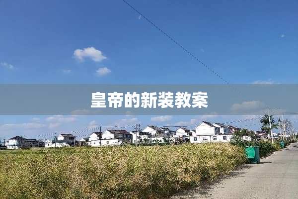 皇帝的新装教案