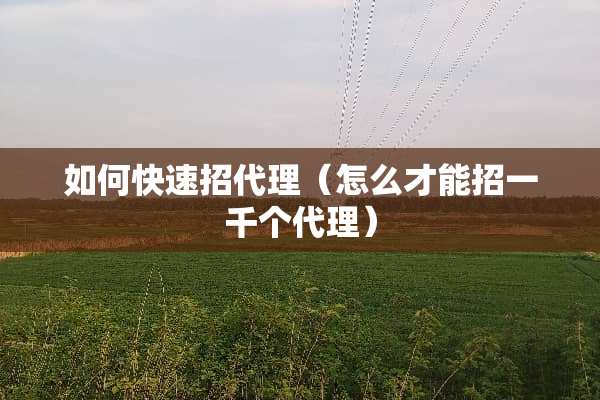 如何快速招代理（怎么才能招一千个代理）