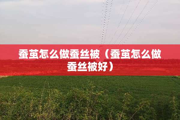 蚕茧怎么做蚕丝被（蚕茧怎么做蚕丝被好）