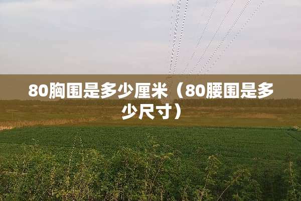 80胸围是多少厘米（80腰围是多少尺寸）