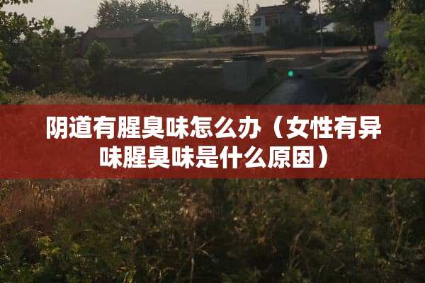 *道有腥臭味怎么办（女性有异味腥臭味是什么原因）