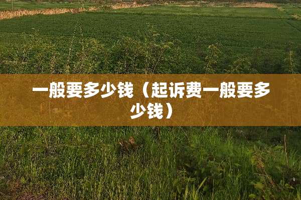 一般要多少钱（起诉费一般要多少钱）