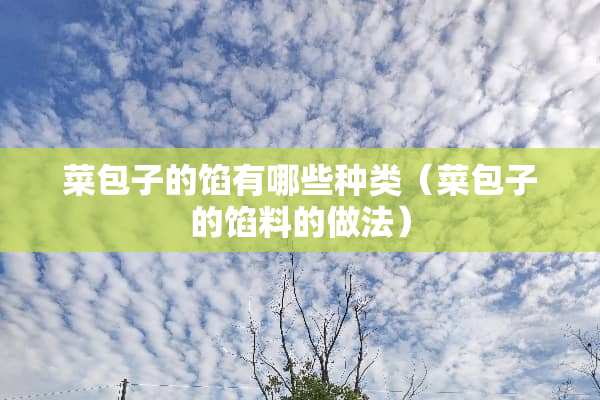 菜包子的馅有哪些种类（菜包子的馅料的做法）