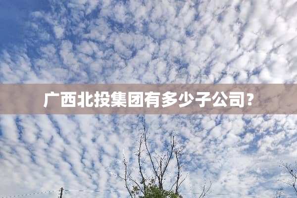 广西北投集团有多少子公司？