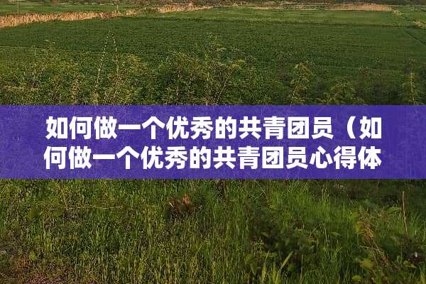 如何做一个优秀的共青团员（如何做一个优秀的共青团员心得体会）