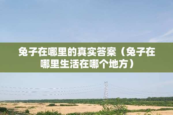 兔子在哪里的真实答案（兔子在哪里生活在哪个地方）