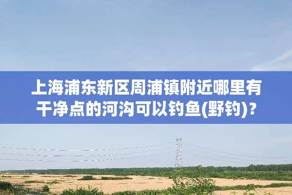 上海浦东新区周浦镇附近哪里有干净点的河沟可以钓鱼(野钓)？