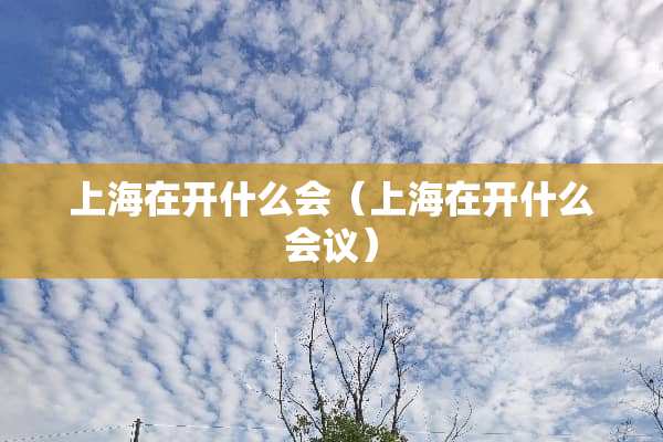 上海在开什么会（上海在开什么会议）