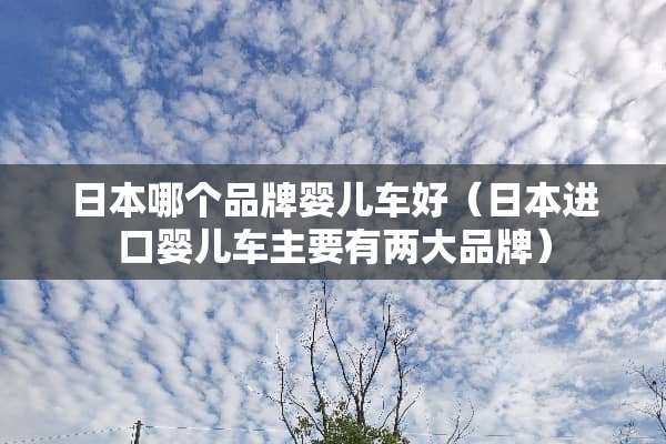 日本哪个品牌婴儿车好（日本进口婴儿车主要有两大品牌）