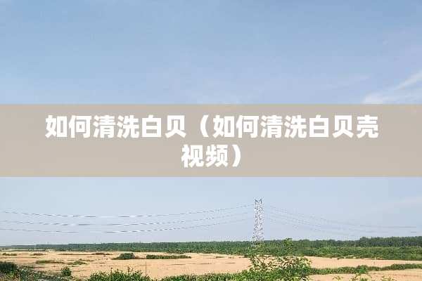 如何清洗白贝（如何清洗白贝壳视频）