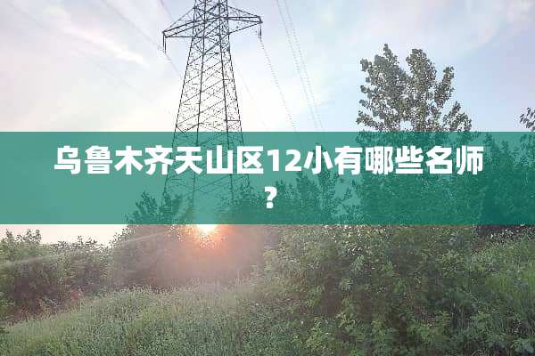 乌鲁木齐天山区12小有哪些名师？
